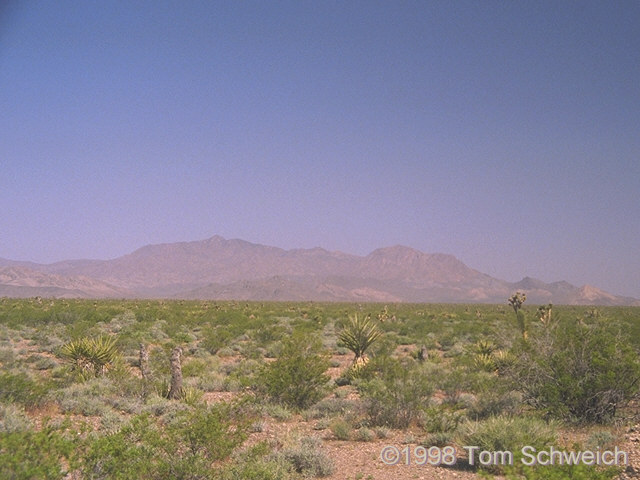 Kingston Range, seen from Kingston Road, just north of Valley Wells.