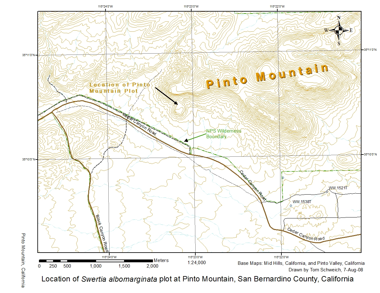 experimental plot, Frasera albomarginata, Pinto Mountain, Cedar Canyon Road, Mojave National Preserve, California, San Bernardino County