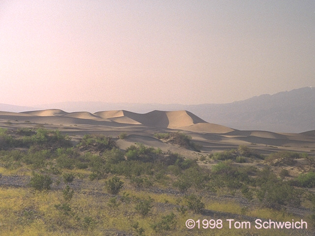 Sand dunes at Stovepipe Wells in the late afternoon.