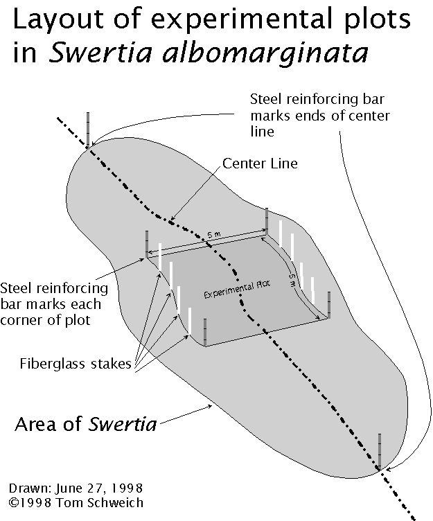 Layout of plots in <I>Frasera albomarginata</I>.