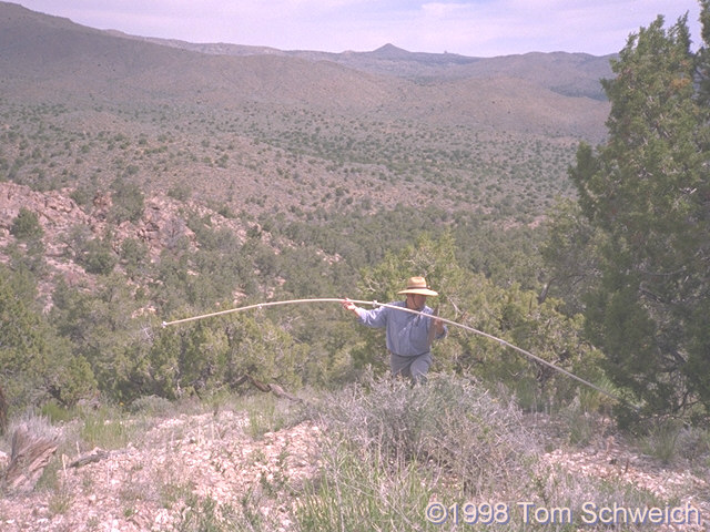 Working in the experimental plot on the north face of Wild Horse Mesa.