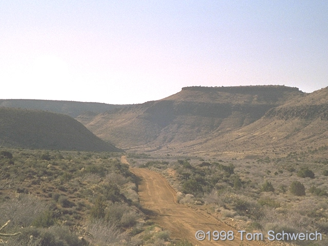 View south along Wild Horse Canyon Road.